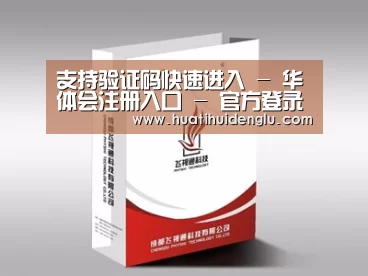 项目名称十三