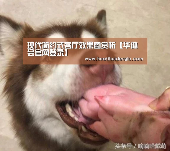 现代简约式客厅效果图赏析【华体会官网登录】(图2) 华体会登陆