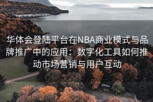 华体会登陆平台在NBA商业模式与品牌推广中的应用：数字化工具如何推动市场营销与用户互动
