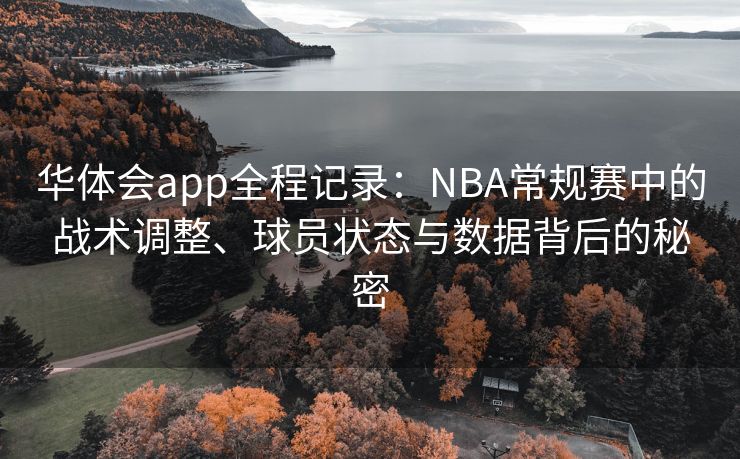 华体会app全程记录：NBA常规赛中的战术调整、球员状态与数据背后的秘密